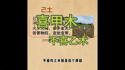 燥土|《滴天髓》燥湿篇：一篇文带你快速了解燥土与湿土